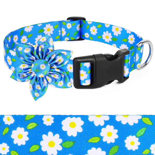 Daisy Blue Dog Collar with Bow